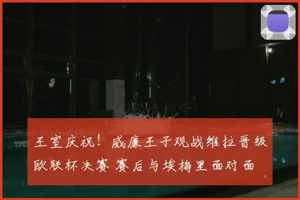 王室庆祝！威廉王子观战维拉晋级欧联杯决赛 赛后与埃梅里面对面